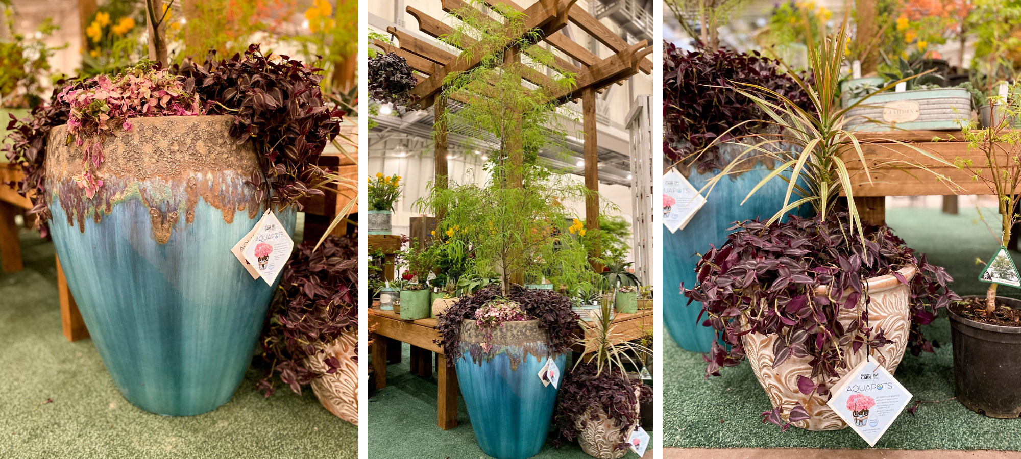 Everetts Gardens Where Plant Lovers Go!