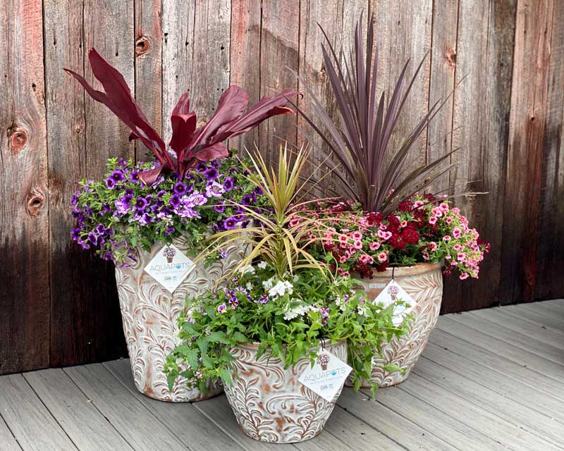 annual_planters_1 annual_planters_1