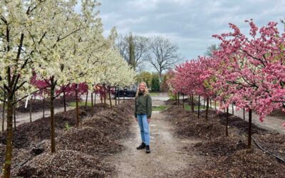 How to choose which fruit trees to plant