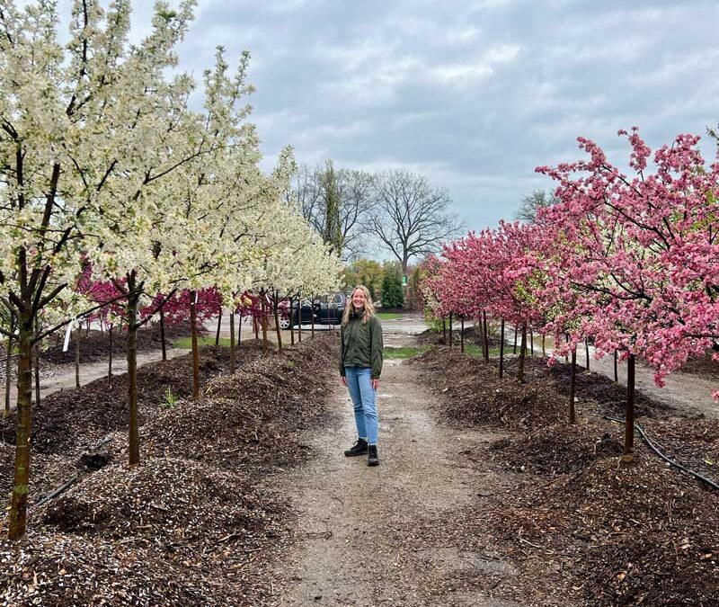 How to choose which fruit trees to plant
