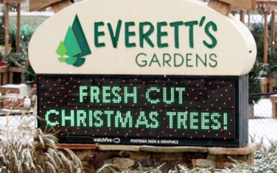 Discover the Wonder of Christmas at Everett’s Gardens