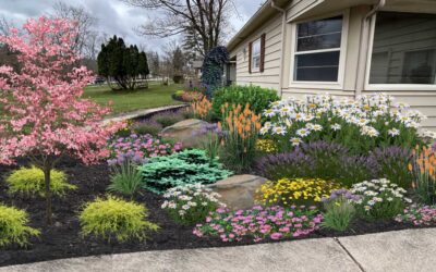 DIY Landscaping Tips: Transform Your Michigan Yard Like a Pro