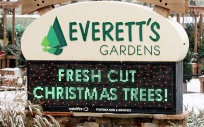 Discover the Wonder of Christmas at Everett’s Gardens
