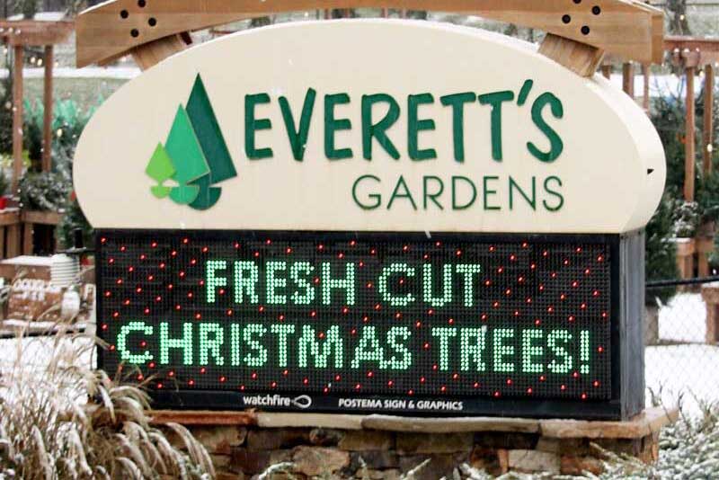 Discover the Wonder of Christmas at Everett’s Gardens